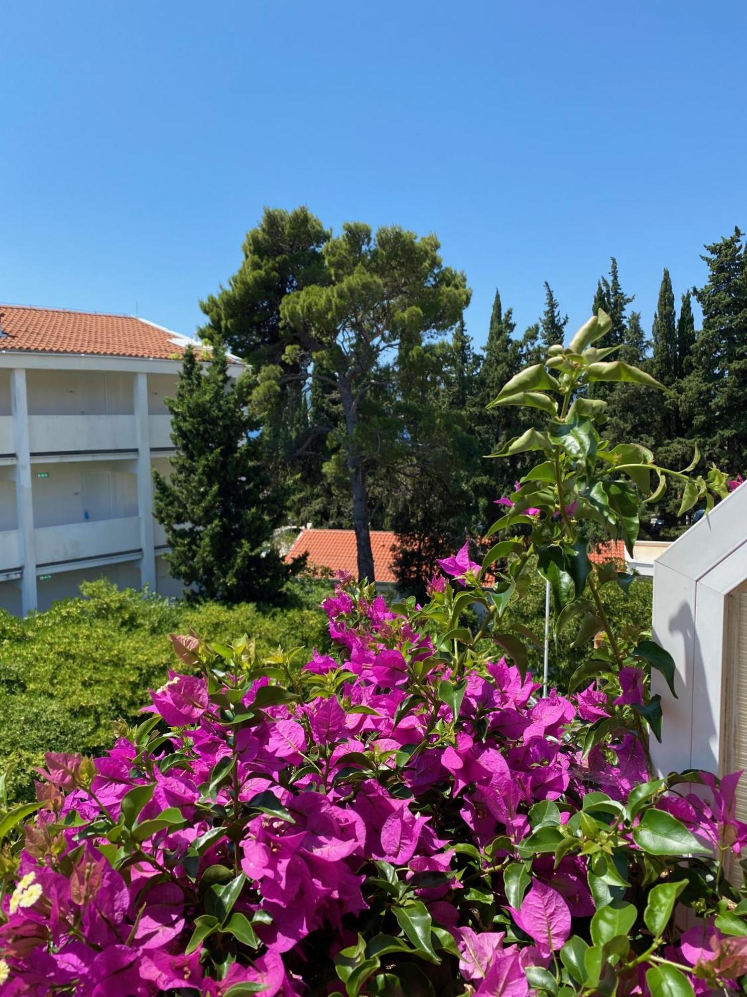 Apartmani Dusanka Оребич Экстерьер фото